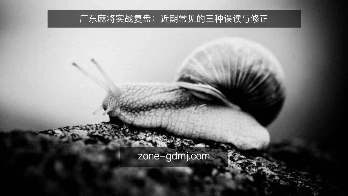 广东麻将实战复盘：近期常见的三种误读与修正