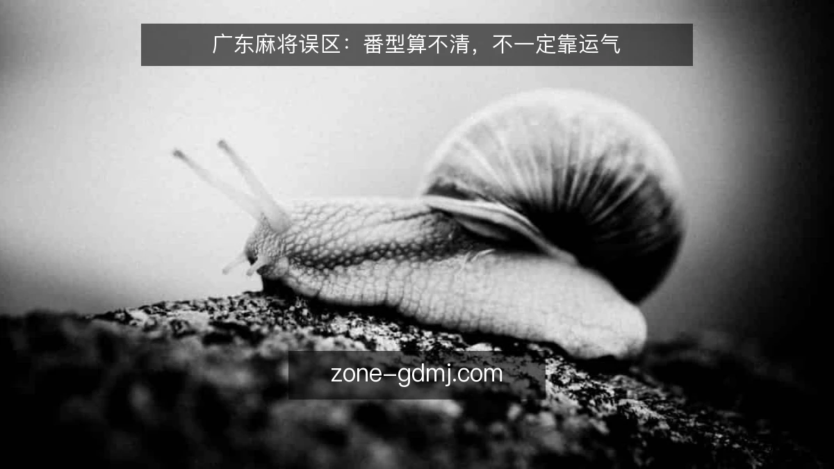 广东麻将误区:番型算不清,不一定靠运气