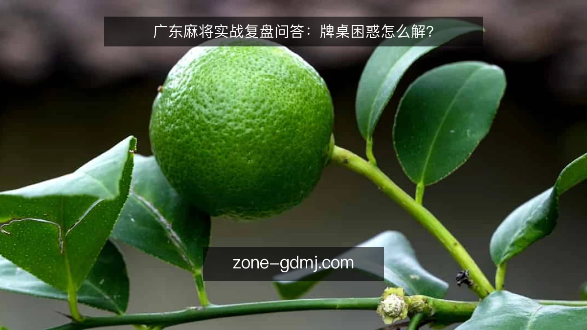 广东麻将实战复盘问答:牌桌困惑怎么解?